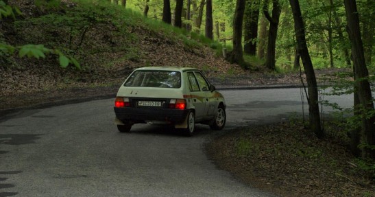 Rally Horovice 2010
